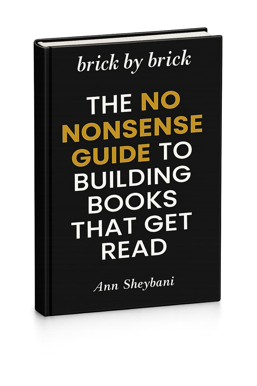 ann_sheybani_brick_by_brick